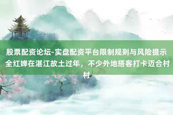 股票配资论坛-实盘配资平台限制规则与风险提示 全红婵在湛江故土过年，不少外地搭客打卡迈合村
