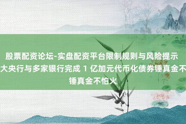 股票配资论坛-实盘配资平台限制规则与风险提示 加拿大央行与多家银行完成 1 亿加元代币化债券锤真金不怕火