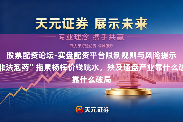 股票配资论坛-实盘配资平台限制规则与风险提示 “非法泡药”拖累杨梅价钱跳水，殃及通盘产业靠什么破局